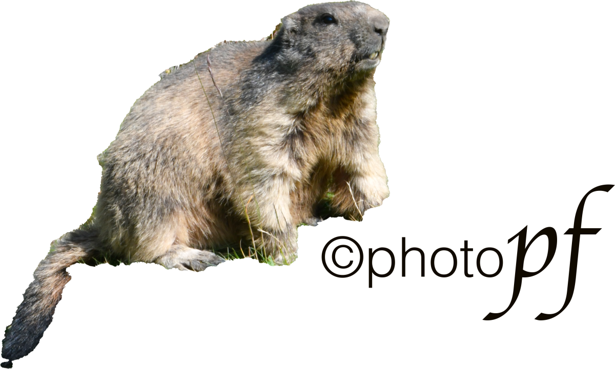 photopf.ch